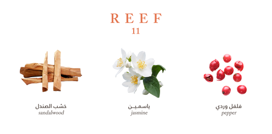 Reef 11 – Deep Sandalwood Sophistication - 100ml