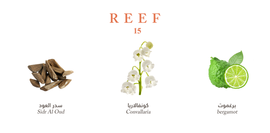 Reef 15 - Valor Fresh Oud - 100ml
