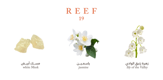 Reef 19 – Fresh Musk Elegance - 100ml