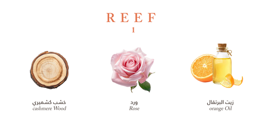 Reef Mood 1 - Air Freshener - 200ml