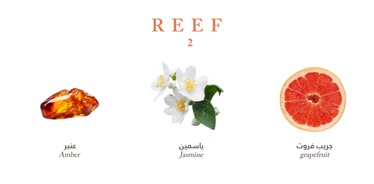 Reef 2 – Amber and Jasmine Symphony 100ml