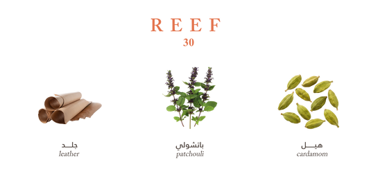 Reef 30 – Bold Patchouli Leather - 100ml