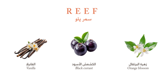 Reef Yellow – Velvet Vanilla Cradle - 100ml