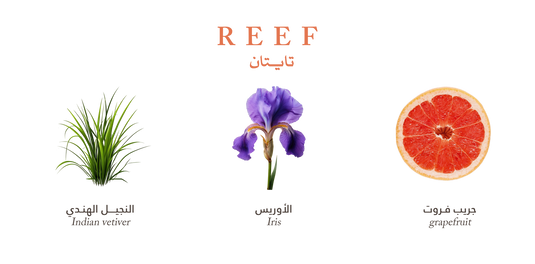 Reef Titan – Sweet Citrus Spark - 200ml