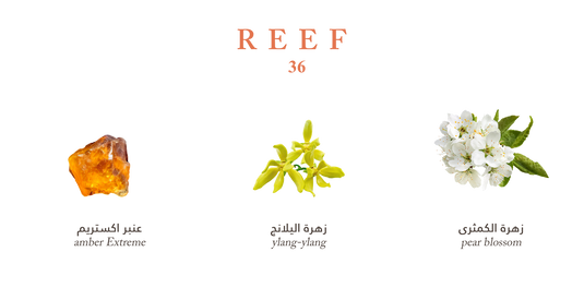 Reef 36 - Intense Amber Bloom - 100ml