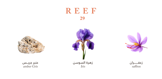 Reef 29 - Golden Saffron Veil -100ml