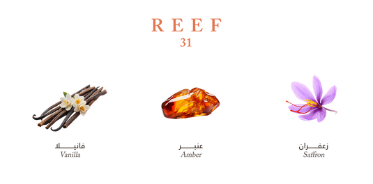 Reef 31 – Royal Amber Intensity - 100ml