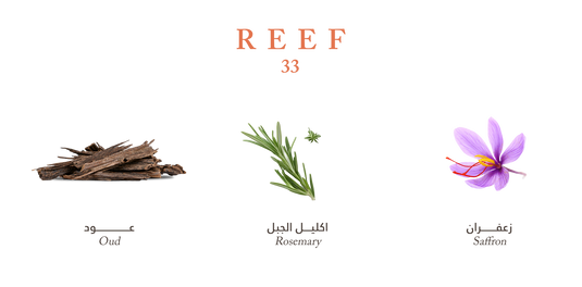 Reef 33 - Royal Oud Harmony - 100ml