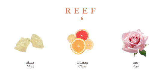Reef 6 – Jasmine Fragrance Board - 100ml