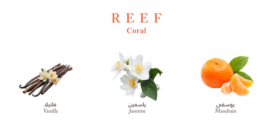 Reef Coral - 150ml