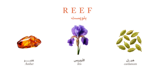 Reef Bluest – Golden Amber Touch - 200ml