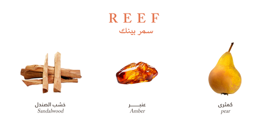 Reef Pink – Amber Silk Blend - 100ml